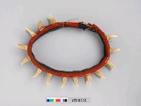 男子獸牙頭環藏品圖，第10張
